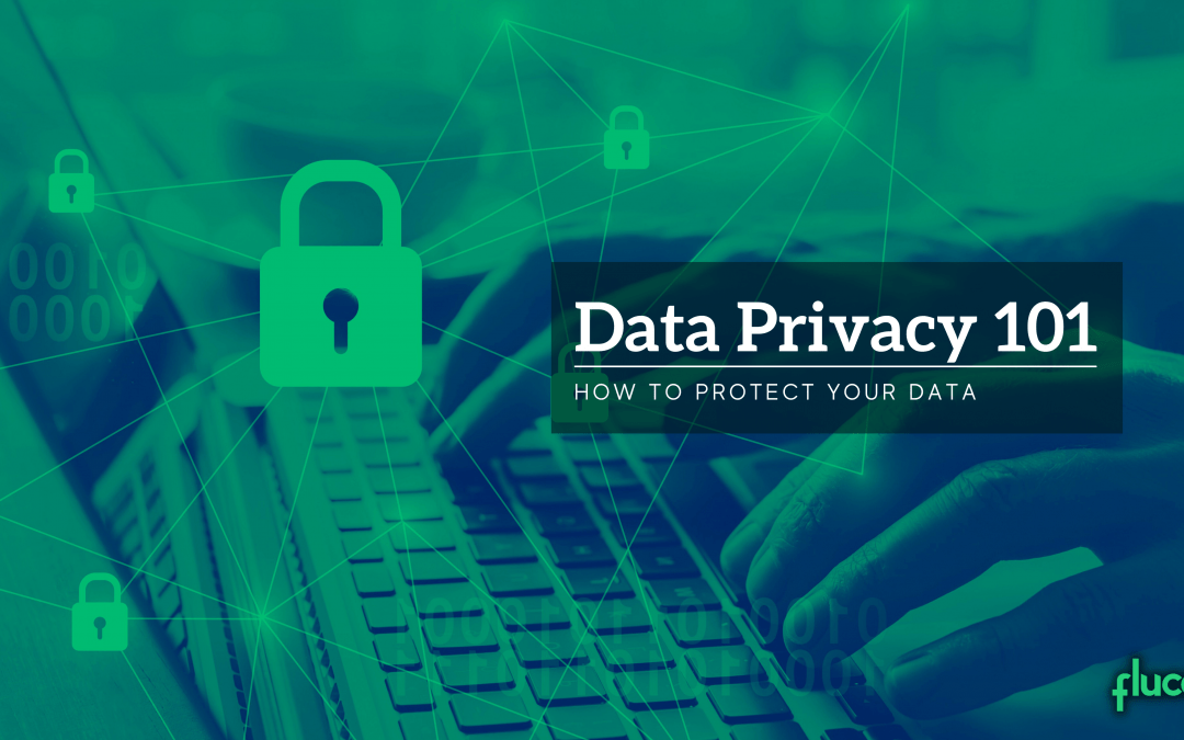 Data Privacy 101 Graphic