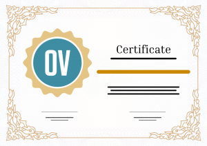 OV SSL Certificates Graphic