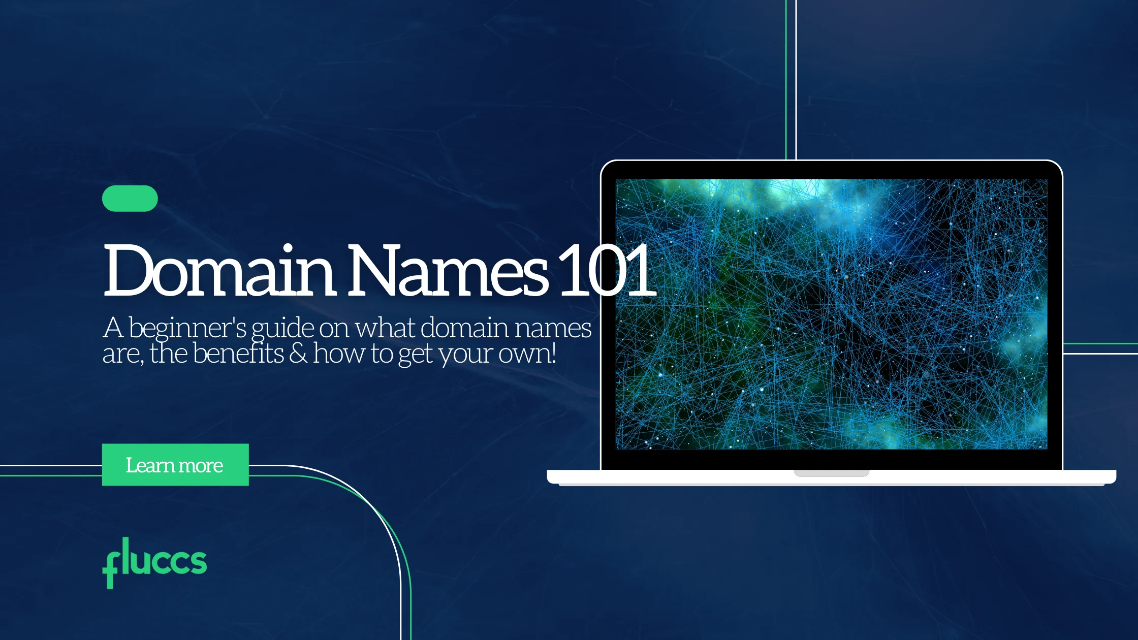 Domain Names 101 Graphic